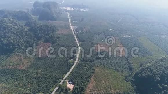 在美丽的雨林中鸟瞰道路视频的预览图