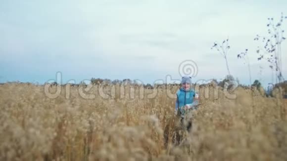 小女孩走在麦田里孩子奔跑的背景是美丽的山脉和白雪覆盖的山峰儿童视频的预览图