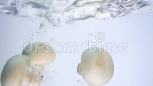 蘑菇落入水中用于烹饪视频的预览图