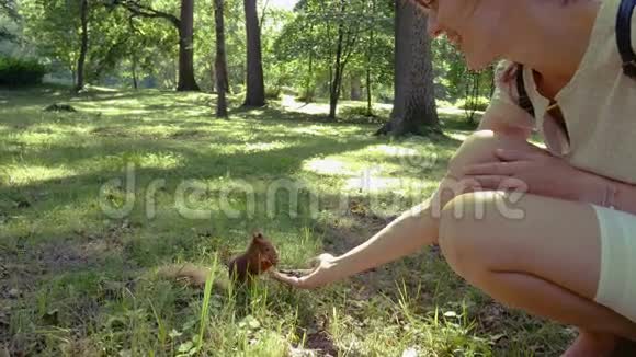 松鼠在夏季公园吃一个年轻女人手中的坚果视频的预览图