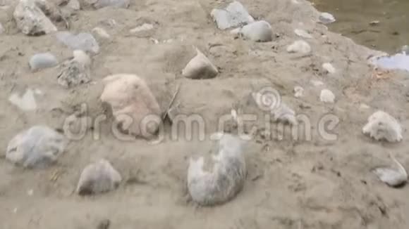 沿着一个小湖岸的圆形石头和沙子视频的预览图