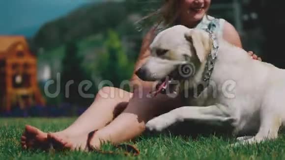 一个十几岁的女孩正在公园里玩她最喜欢的狗他是人类的忠实朋友视频的预览图