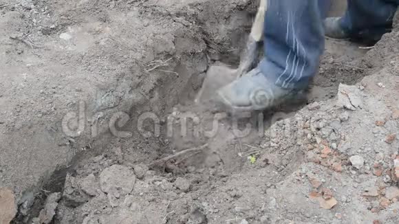 用铁锹在灰干土上挖沟视频的预览图