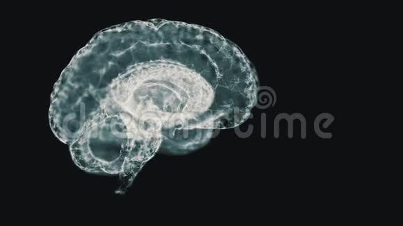 人类智力的概念人类大脑在黑色背景下旋转的抽象白色模型视频的预览图