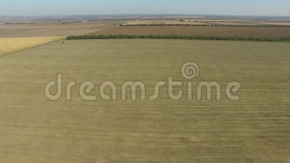 无止境的田野后收获小麦作物空中景观视频的预览图