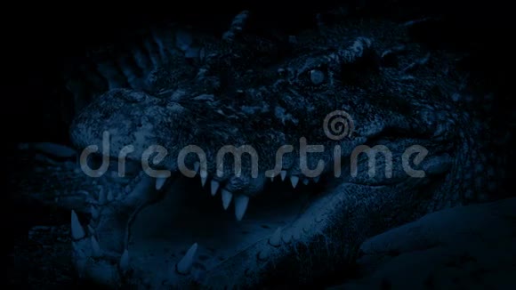 鳄鱼夜间张开嘴呼吸视频的预览图
