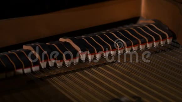 在老式钢琴琴弦和琴键里视频的预览图