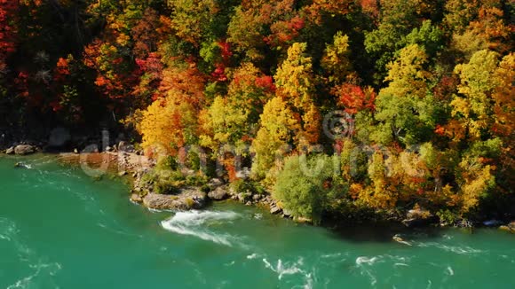 秋天森林和尼亚加拉河的丰富色彩在尼亚加拉瀑布周围从美国的观点a视频的预览图