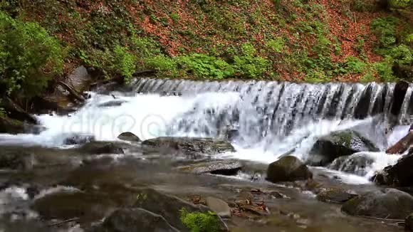 山林深处的山瀑山河的水流视频的预览图