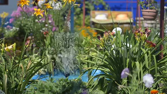 花园里的池塘有一个带花的喷泉是家庭度假的地方视频的预览图