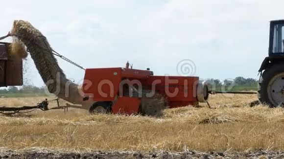 小麦收获在收获过程中将小麦卸入拖拉机拖车中视频的预览图