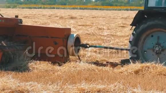 小麦收获在收获过程中将小麦卸入拖拉机拖车中视频的预览图