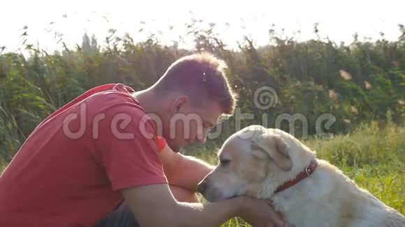 年轻人在大自然中爱抚拥抱和亲吻他的拉布拉多犬玩金雷弗狗舔雄性视频的预览图