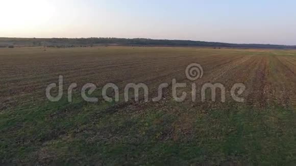 耕地乡土的性质空中景色视频的预览图