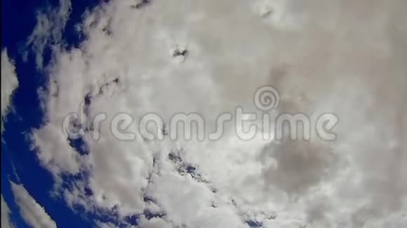 在天空中飞翔从正面循环动画视频的预览图