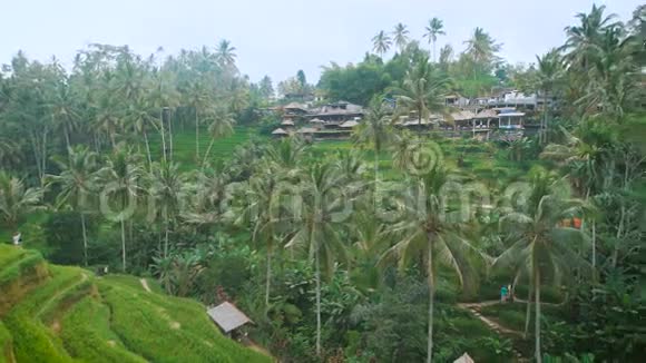 村庄建在丛林中的一座青山上许多低矮的小房子紧挨着美丽的热带视频的预览图