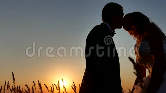 浪漫的婚礼亲吻年轻夫妇的剪影夕阳下的情侣自然男女剪影视频的预览图