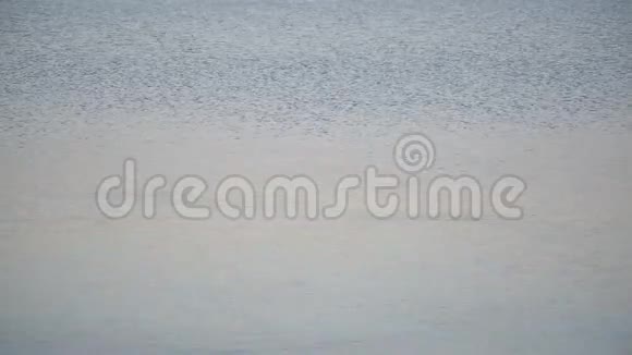 无法辨认的人在水上跳过石头视频的预览图