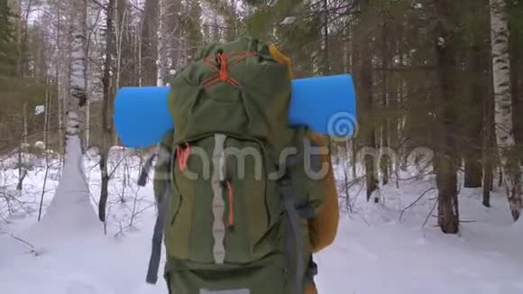女游客走在冬天的森林小路上肩上背着一个背包视频的预览图