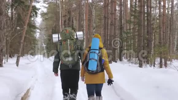 一个年轻人和一个女孩正沿着一条冬天的森林小径散步视频的预览图