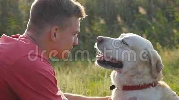 年轻人在大自然中爱抚拥抱和亲吻他的拉布拉多犬玩金雷弗狗舔雄性视频的预览图