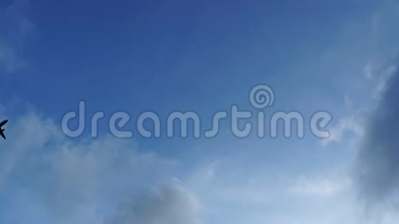 一架飞机飞过晴空的景色视频的预览图