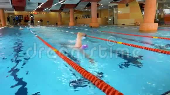 在游泳池里游泳的人适合在游泳池里训练的年轻男子游泳运动员游泳的年轻人在游泳池里匍匐前进年轻的视频的预览图