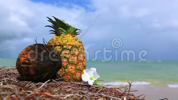 加勒比海海滩的热带菠萝鸡尾酒饮料视频的预览图