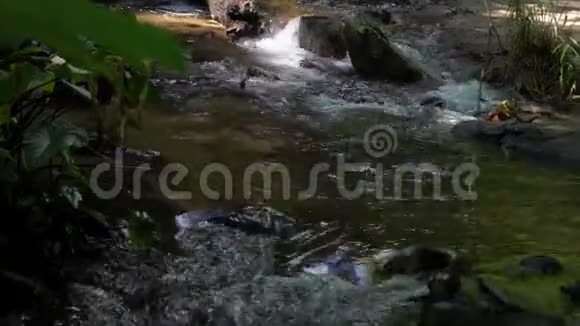 泰国清迈DoiInthanon国家公园的Siribhume瀑布关闭上视图视频的预览图