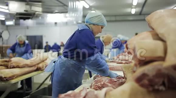 肉厂正在准备鲜肉送到商店视频的预览图