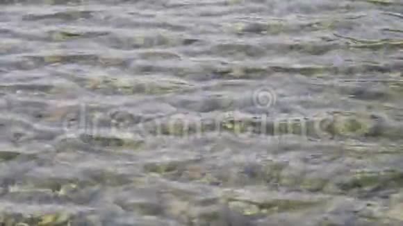 关闭干净河流的涟漪在水面上闪耀反射4k视频慢动作视频的预览图