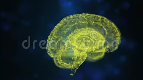 蓝色bokeh颗粒在开放空间漂浮的黄色人脑解剖模型的抽象视图视频的预览图