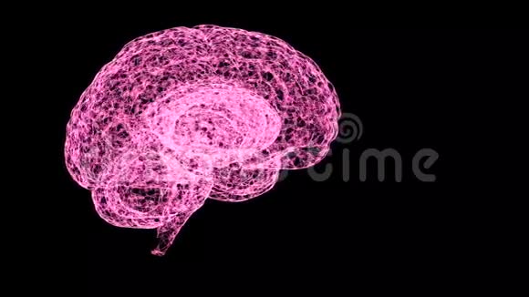 人类智力的概念人类大脑在黑色背景下旋转的抽象粉红色模型视频的预览图