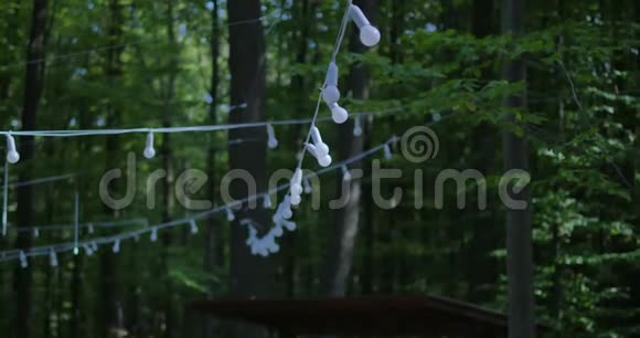 一个带有白色电线的LED灯灯泡串灯供夏季公园背景下的聚会庭院使用视频的预览图