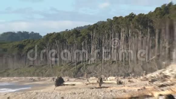 新西兰的岩石海滩视频的预览图