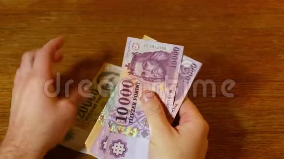 数钱匈牙利福林视频的预览图