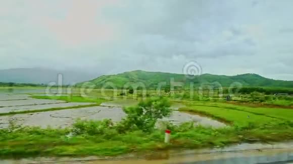 乡村景观稻田村公路与多云天空视频的预览图