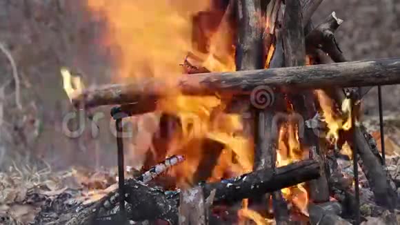 明亮燃烧的木头篝火视频的预览图