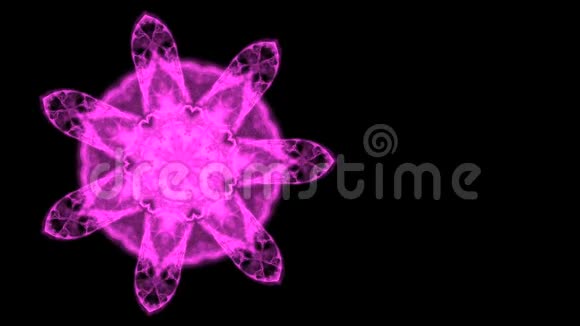 对称的紫色图案看起来像蜘蛛网或花在黑色背景上蔓延和缩小视频的预览图