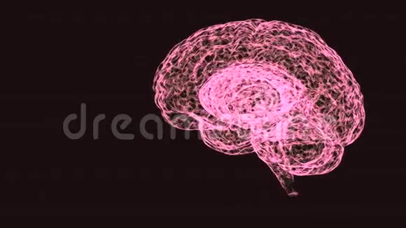 黑色背景上粉红色半透明脑全息图的4K视频视频的预览图