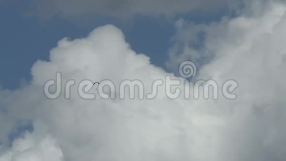 云层背景下的滑翔机视频的预览图