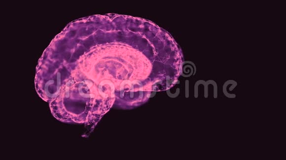 平和的心态观念由紫色的抽象交织的网组成的大脑在空间中旋转视频的预览图
