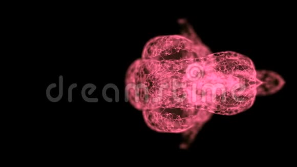 心理学概念上下视频视图粉红色人脑结构形成的抽象空间雾气模糊视频的预览图