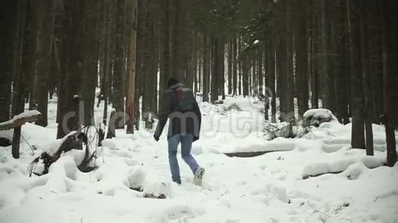 冬天有人在树林里爬山视频的预览图
