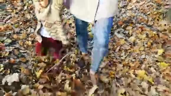 妈妈带着宝宝走在秋叶户外视频的预览图