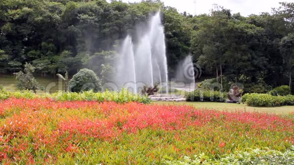 花园里的喷泉视频的预览图