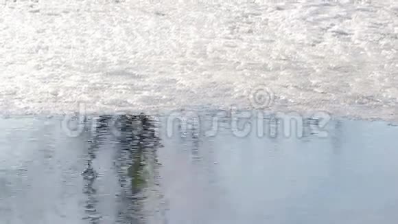 一条冰冻的河流在春天融化水流融化冰视频的预览图
