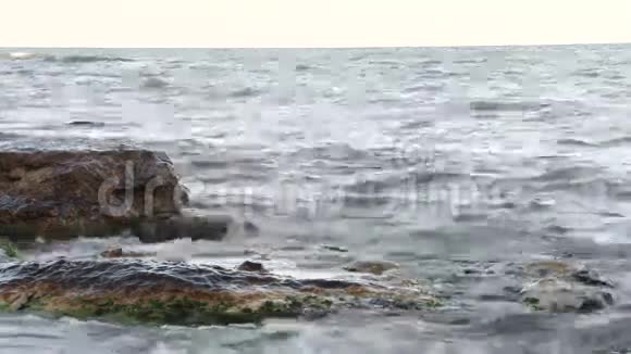 在岸边洗过石头视频的预览图