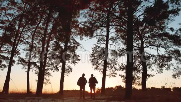两名游客剪影日落在森林阳光下徒步旅行旅游观光旅游观光旅游观光旅游观光旅游团体视频的预览图