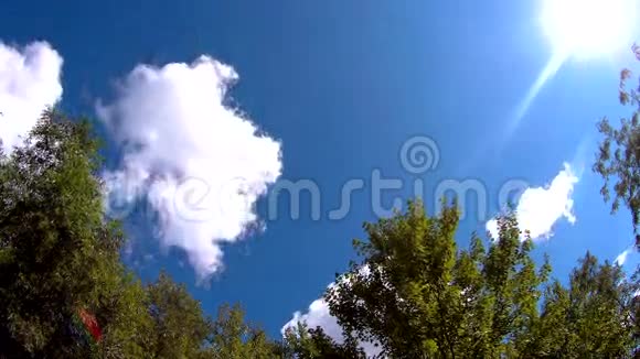 前景中有树木和草的天际线视频的预览图